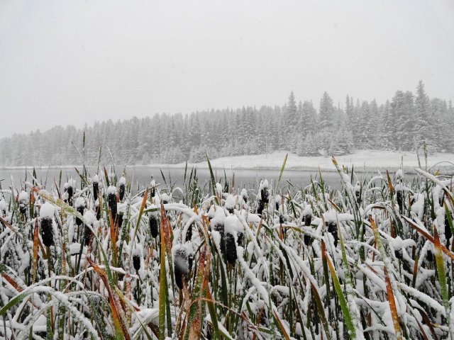 Black-Hills-SD/640x480_Black Hills early winter Sep 12.jpg